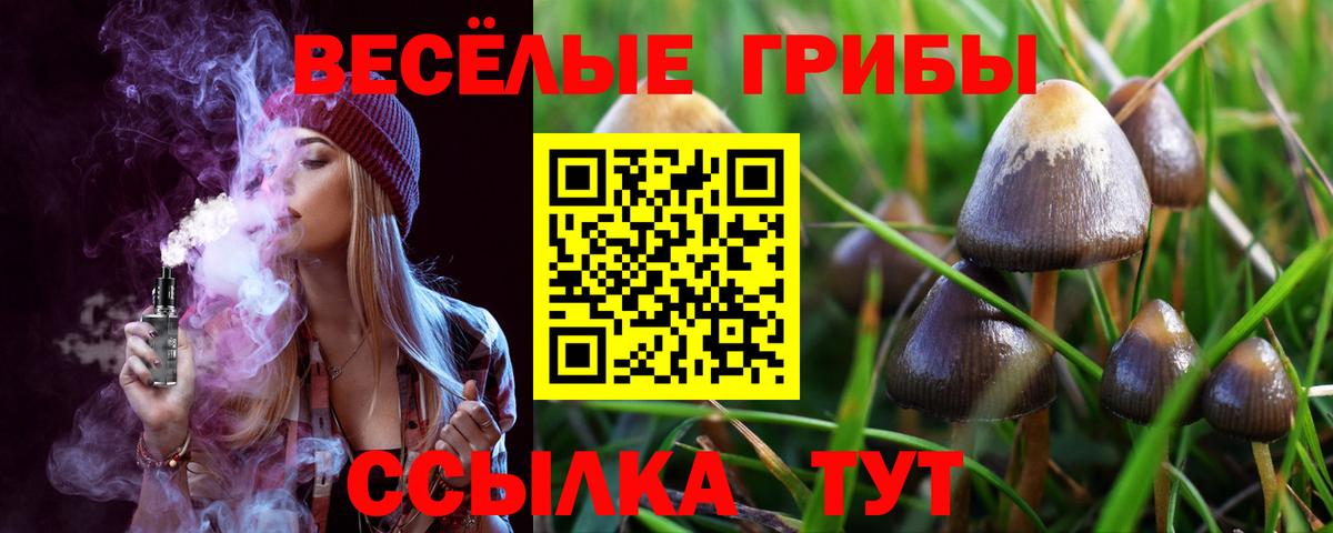 Псилоцибиновые грибы ЛСД Белово